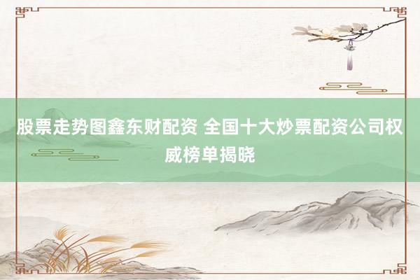 股票走势图鑫东财配资 全国十大炒票配资公司权威榜单揭晓