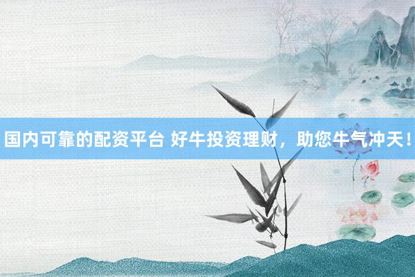 国内可靠的配资平台 好牛投资理财，助您牛气冲天！