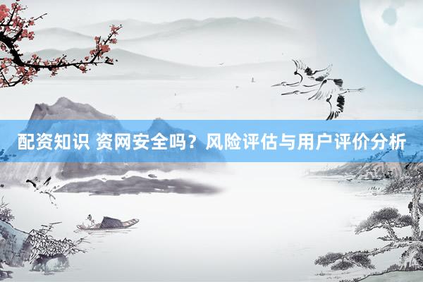 配资知识 资网安全吗？风险评估与用户评价分析