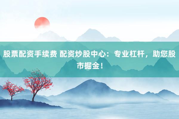 股票配资手续费 配资炒股中心：专业杠杆，助您股市掘金！