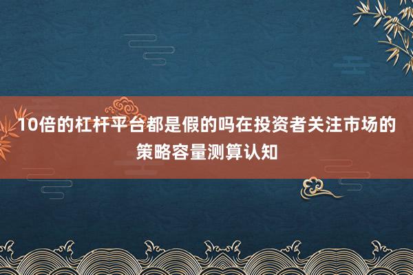 10倍的杠杆平台都是假的吗在投资者关注市场的策略容量测算认知
