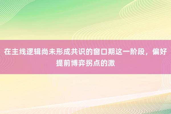 在主线逻辑尚未形成共识的窗口期这一阶段，偏好提前博弈拐点的激