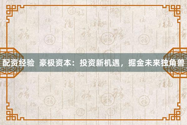 配资经验  豪极资本：投资新机遇，掘金未来独角兽