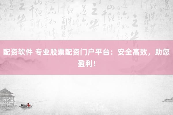 配资软件 专业股票配资门户平台：安全高效，助您盈利！